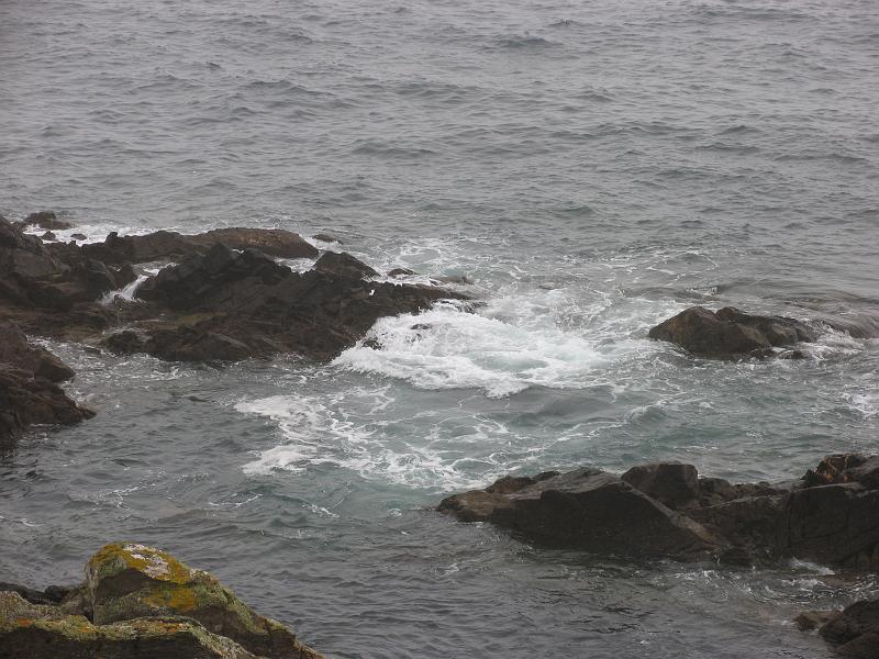 2009-09-23 11-48-42L.JPG